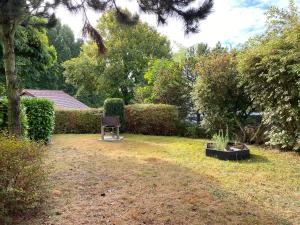 a chair sitting in the grass in a yard at Ferienhaus VogelMeer in Marlow