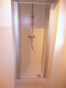a shower with a glass door in a bathroom at FeWo Schwalbennest in Marlow
