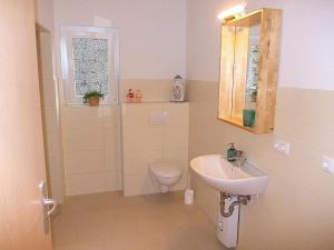 a bathroom with a sink and a toilet and a mirror at FeWo Schwalbennest in Marlow