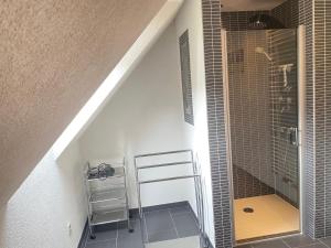 a bathroom with a shower and a walk in showeroser at Ferienhaus "Am Wald" in Behrenwalde +12 photos