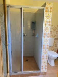 a shower stall in a bathroom with a toilet at Ferienwohnung Graureiher in Marlow
