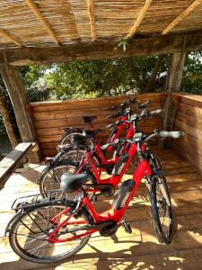 a row of bikes parked next to each other at AgriGlamping La Diaccia in Serravalle Pistoiese