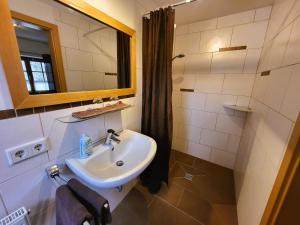 a bathroom with a sink and a mirror and a shower at Haus Hörterer | Chiemgau Karte in Grassau