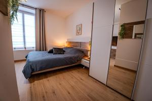 a bedroom with a bed and a large mirror at TEMPLE JACQUESSON - Gare - Centre ville - WIFI RAPIDE et STREAMING - PARKING GRATUIT - CHECK IN 24H - CLIMATISATION - IDEAL PROS - cour privée - barbecue in Chalons en Champagne