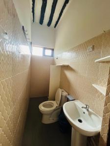 a small bathroom with a toilet and a sink at Apartments Maliki, Matemwe in Matemwe +37 photos
