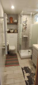a bathroom with a shower and a toilet and a sink at La belle étape in Montbrison