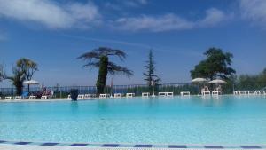 a large swimming pool with chairs and a palm tree at Residence de bordaberry in Urrugne