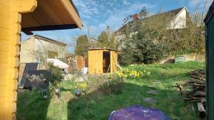 a view of a yard with a building in the background at Tauber RadApart Kreativhof in Creglingen