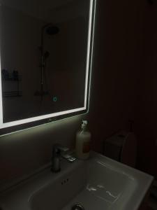 a bathroom sink with a mirror and a bottle of soap at Coral Studio Apartment in Shëngjin