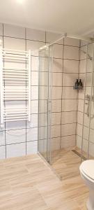 a bathroom with a glass shower with a toilet at Báránykő Apartman in Pásztó