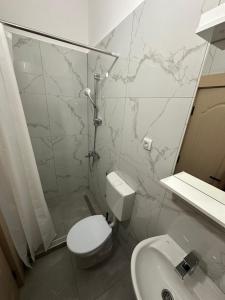 a bathroom with a toilet and a sink at Apartman Milanović in Pribojska Banja +6 photos