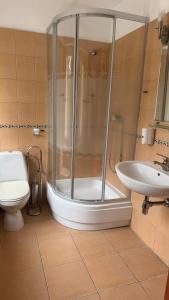 a bathroom with a shower and a toilet and a sink at Floryda in Jurata