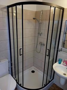 a bathroom with a shower with a toilet and a sink at BERDO Noclegi i restauracja in Wetlina