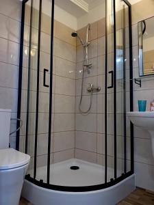 a bathroom with a shower with a toilet and a sink at BERDO Noclegi i restauracja in Wetlina +1 photo