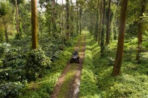 a person riding a motorcycle down a dirt road in a forest at Tusker Trails - A LuxUnlock Private Retreat in Suntikoppa