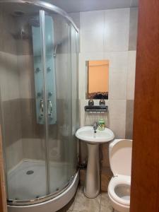 a bathroom with a shower and a toilet and a sink at Republiq Apartment in City Ceneter in Yerevan