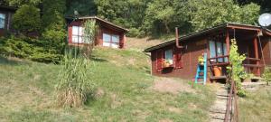 a house on the side of a grassy hill at Domek nad jeziorem in Górzno +5 photos