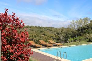 a swimming pool with chairs and a view of a forest at Quinta Da Devesa B1 in Vinhais +32 photos