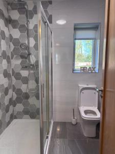 a bathroom with a toilet and a glass shower at Moate View Lodge in Ballymore Eustace +18 photos