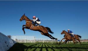 two jockeys on horses jumping over a hurdle at Moate View Lodge in Ballymore Eustace