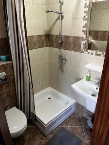 a bathroom with a shower and a toilet and a sink at Andromeda in Mikoszewo +23 photos
