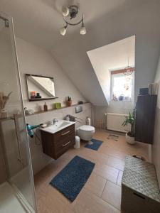 a attic bathroom with a toilet and a sink at Päächenhof in Sinspelt