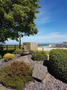 a garden with a statue and a tree and rocks at Bardsey View Holiday Park Nr New Quay in Llanarth