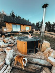 a man in a hot tub in a yard with a dog at Cozy Chalet in Smolné Pece