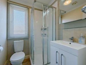 a bathroom with a toilet and a shower and a sink at 2 Bed in Narberth oc-91799 in Stepaside +16 photos