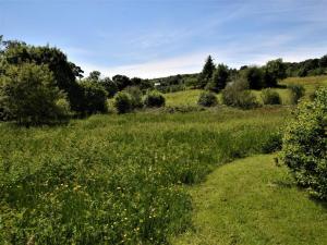 a field filled with green grass and flowers at 2 Bed in Strontian oc-ca046 in Scotstown