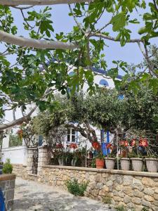 a stone wall with potted plants in front of a house at Petroula Apartments in Emborios