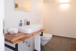 a bathroom with a sink and a toilet at Ferienhaus "Zum Lochstein" in Sankt Andreasberg +12 photos