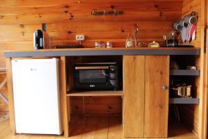 a kitchen with a counter with a microwave and a refrigerator at Quinta da Devesa -B2 in Vinhais