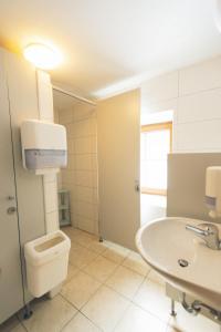 a bathroom with a toilet and a sink at Tamar Mountain hut in Rateče +24 photos