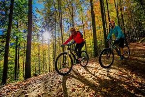 two people riding bikes on a trail in the woods at Lago Edera - Panoramablick in Hemfurth-Edersee