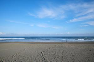 a person standing on a beach with the ocean at Banksia Seaside Cottage in Ōami