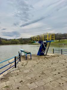 a slide on the side of a lake at Chata pod loukou in Tvarožná Lhota