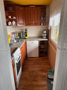 a small kitchen with wooden cabinets and a white refrigerator at Katka in Cheb +6 photos