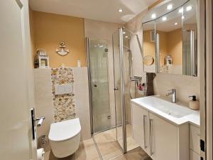 a bathroom with a shower and a toilet and a sink at Appartement Meeresbrise in Pelzerhaken +13 photos