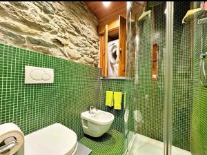 a bathroom with a sink and a toilet and a shower at Baita Genepy - Charme Alpino in Pietra in Alagna Valsesia