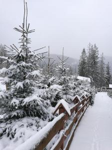 Schnee bedeckt Zaun mit schneebedecktem Weihnachtsbaum in der Unterkunft Apartament z kogutem in Zakopane