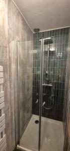 a shower with a glass door in a bathroom at Spoor 24 in Dieren