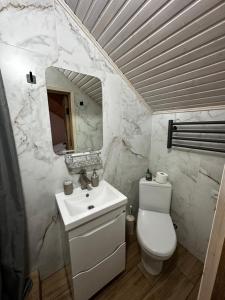a bathroom with a toilet and a sink and a mirror at Коло Гір in Kolochava +101 photos