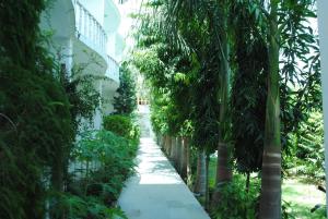 a path through a garden with palm trees at The Backpacker hostel by Surendra rajak in Khajurāho +5 photos