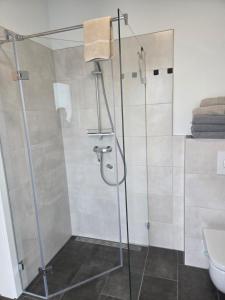 a shower with a glass door in a bathroom at Neues Ruhrtal Apartment 4 mit Balkon in Wickede (Ruhr)