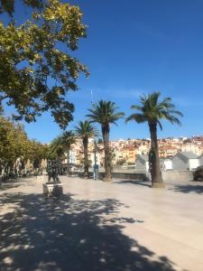 a person sitting on a bench in a park with palm trees at Un petit nid au calme, à 4 minutes de la plage ! in Banyuls-sur-Mer