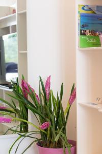 Fotografie z fotogalerie ubytování Mondello Suites FLH - Gorgonia v destinaci Mondello