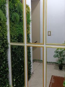 a glass door in a room with plants at Cuba Linda Capsule Stay in Asunción