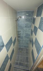 a bathroom with a shower with blue and white tiles at Oldhouse Vucinovic in Tivat