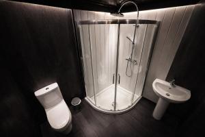 a bathroom with a shower and a toilet and a sink at Glamping Domes in Articlave +14 photos
